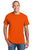 Gildan® - DryBlend® 50 Cotton/50 Poly T-Shirt 8000 (2XL-5XL)